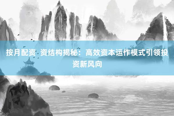 按月配资  资结构揭秘：高效资本运作模式引领投资新风向