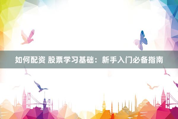 如何配资 股票学习基础：新手入门必备指南