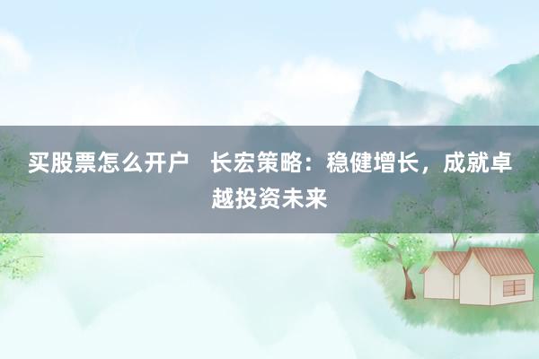 买股票怎么开户   长宏策略：稳健增长，成就卓越投资未来