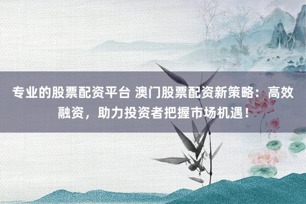 专业的股票配资平台 澳门股票配资新策略：高效融资，助力投资者把握市场机遇！