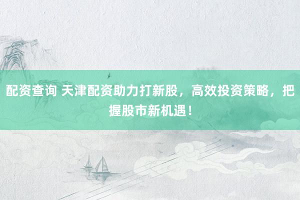配资查询 天津配资助力打新股，高效投资策略，把握股市新机遇！