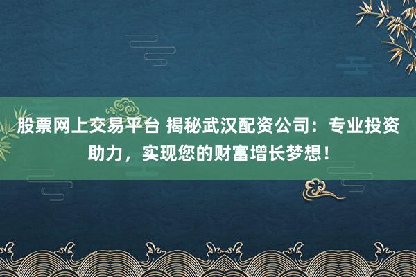股票网上交易平台 揭秘武汉配资公司：专业投资助力，实现您的财富增长梦想！