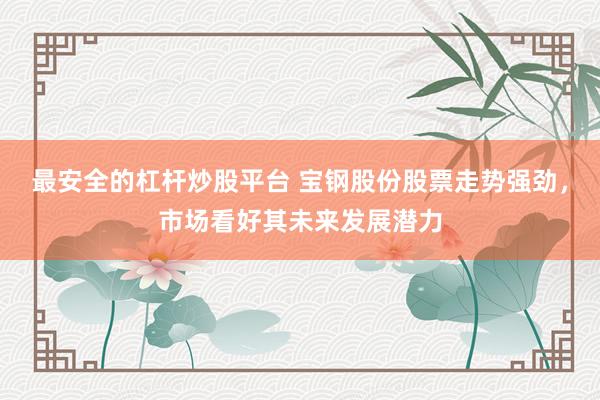最安全的杠杆炒股平台 宝钢股份股票走势强劲，市场看好其未来发展潜力