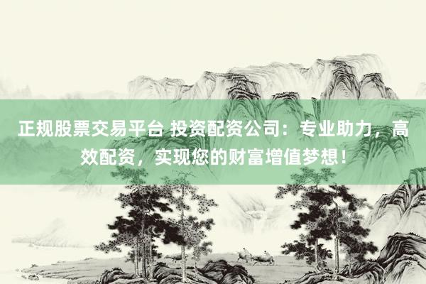 正规股票交易平台 投资配资公司：专业助力，高效配资，实现您的财富增值梦想！