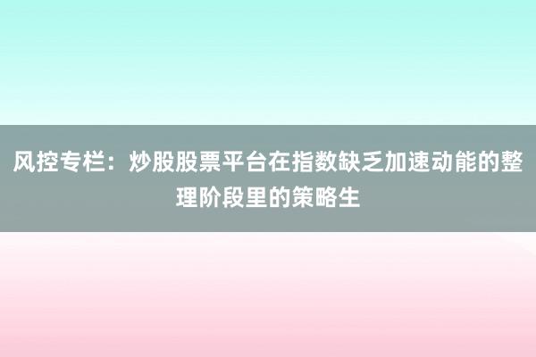 风控专栏：炒股股票平台在指数缺乏加速动能的整理阶段里的策略生