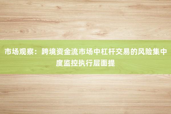 市场观察：跨境资金流市场中杠杆交易的风险集中度监控执行层面提