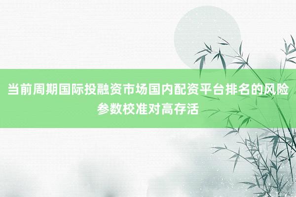 当前周期国际投融资市场国内配资平台排名的风险参数校准对高存活